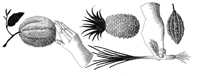 Postales de Antioquia Podcast