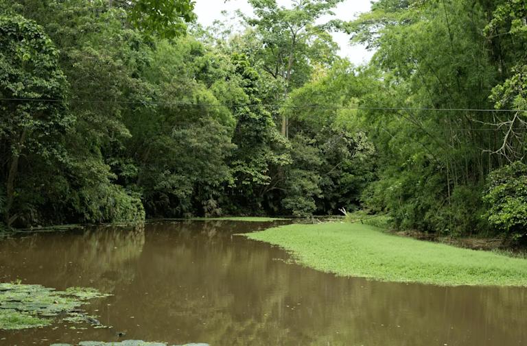 Imagen destacado cursos