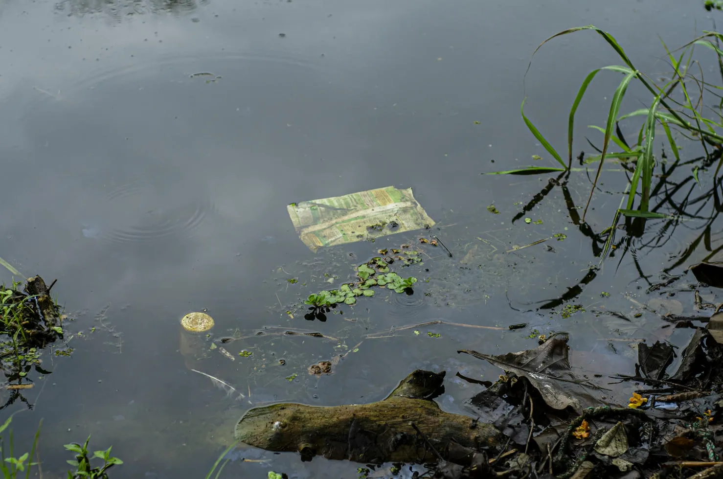 11-edgar-maldonado-pampirucho-cronicas-del-barrio-diego-antonio-canas