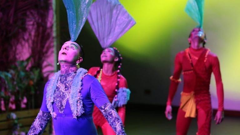 Laboratorio circense