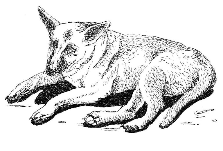 Postales de Antioquia Magdalena Medio