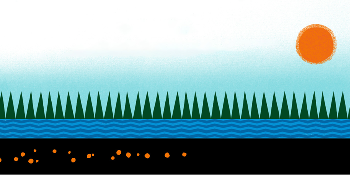 700x350_endominens.png