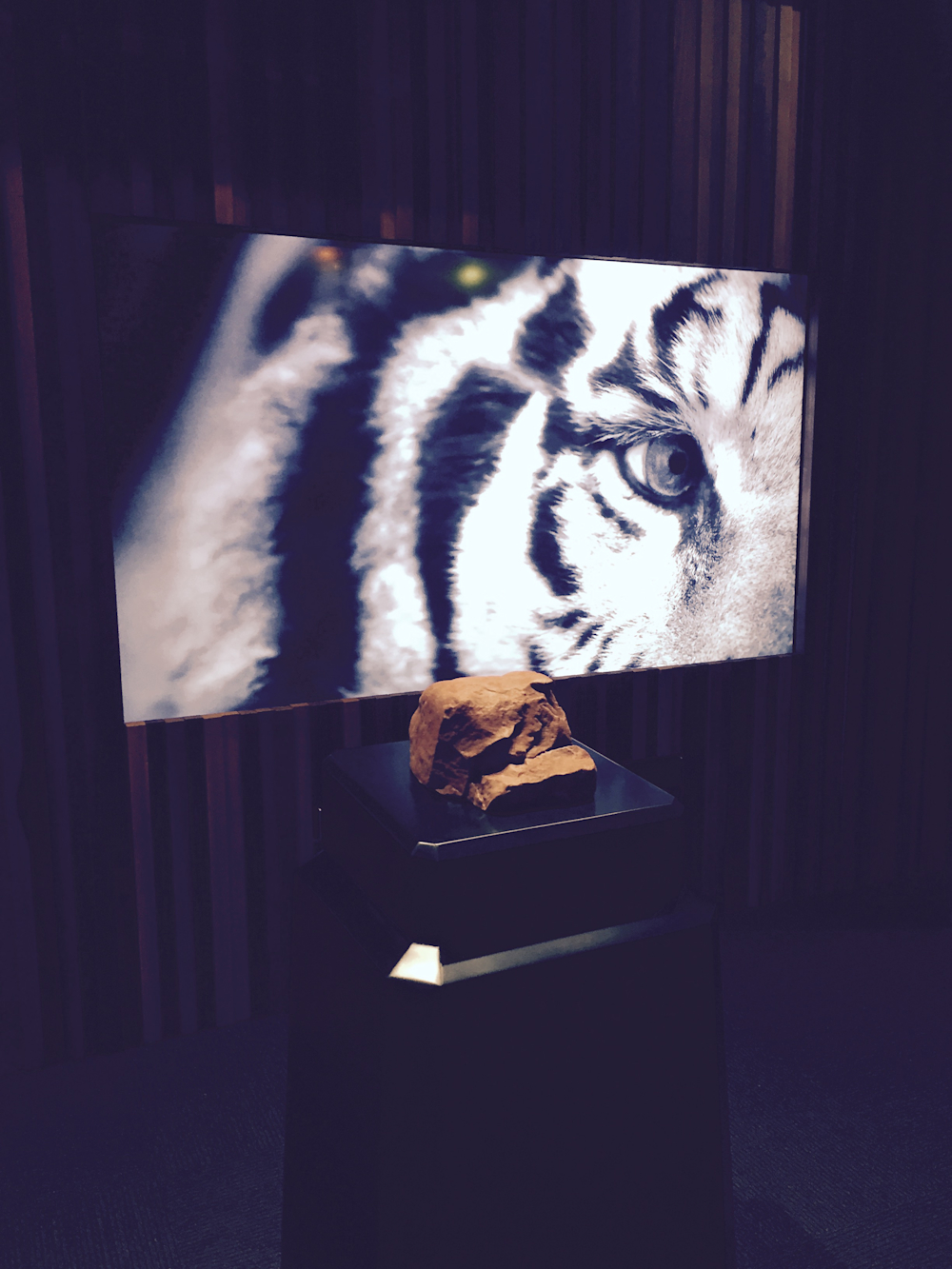 At night, the Brightsign video player plays an evocative black & white sequence.