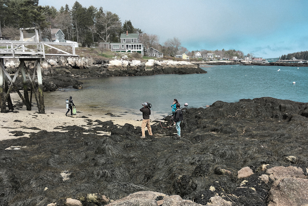 Location scouting for underwater dive