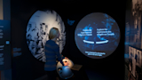 Visitor using trackball for experience language selection