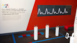 The Heartbeat Wall in-situ at the museum.