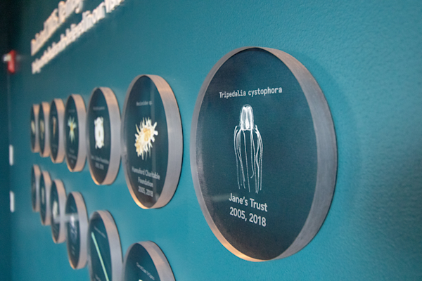 Detail view of donor wall discs.