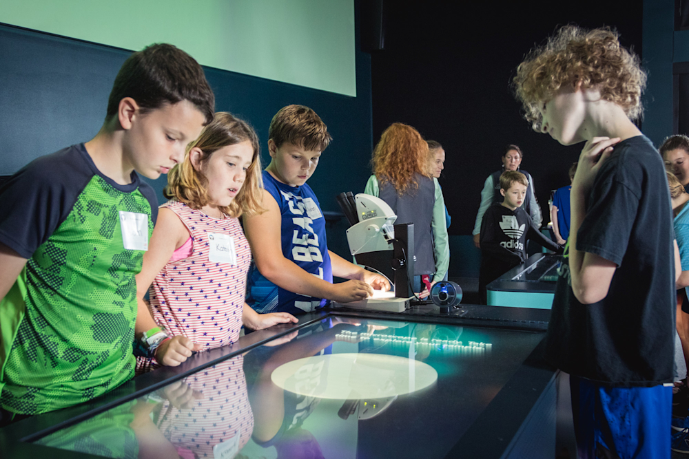 Students looking at plankton samples under a microscope