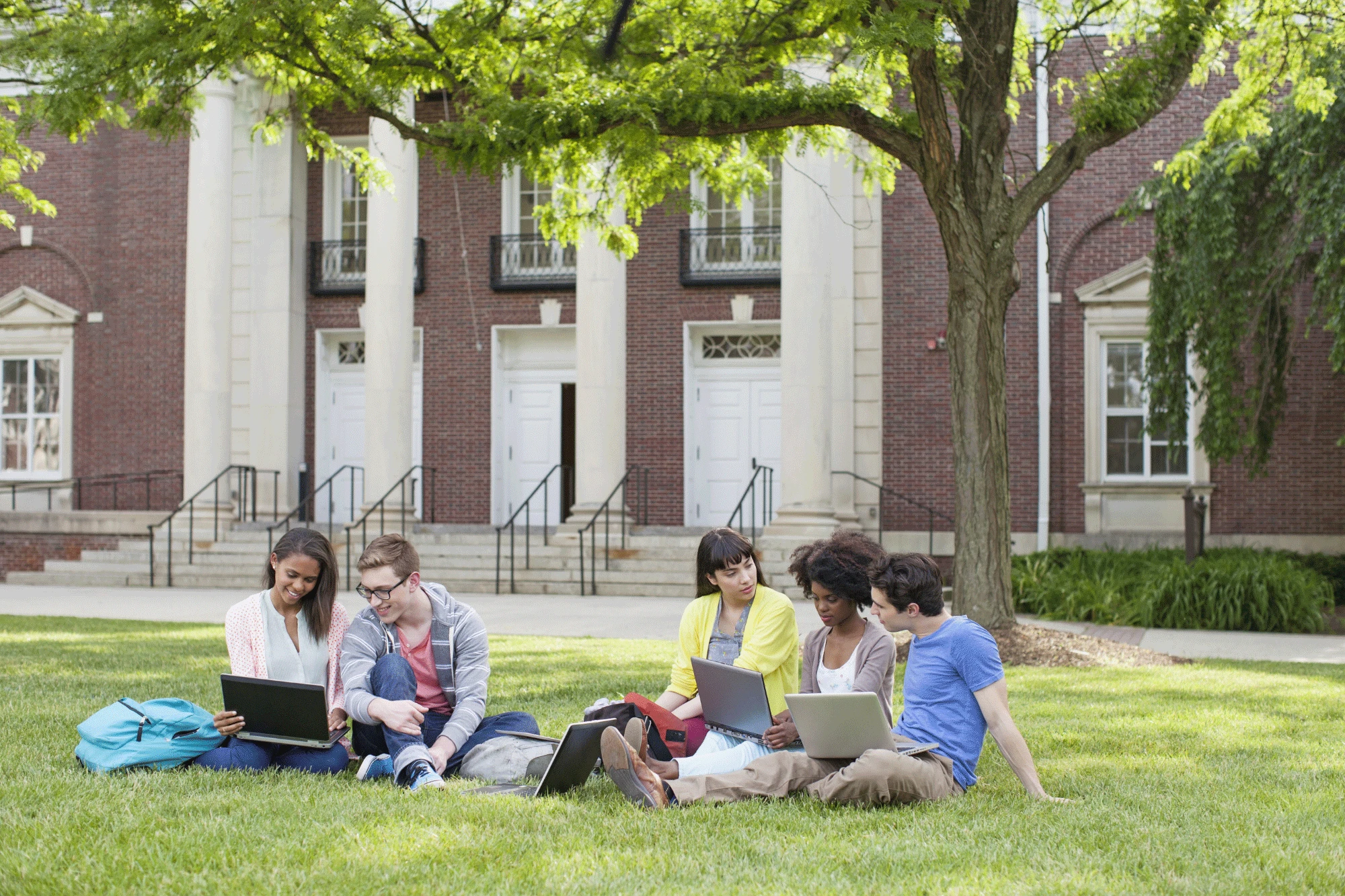 students sitting with laptops on campus lawn