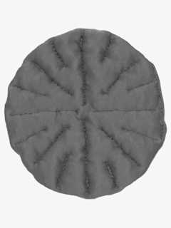 __SwellSpots™ are professionally designed treatment pads that tuck into garments or under bandages. Use them any time, day or night, to address particularly troublesome areas of edema, fill concavities, or diffuse pressure points. They can also be customized to provide a unique solution*.__
- Swell Spots™ utilize the same core principles of fluid dynamics and lymphatic stimulation as our Tribute™ and Caresia™ lymphedema products. When used with your bandaging or compression garment protocol, Swell Spots' unique foam particles nestle into tissue to create localized tissue stretch and pressure differential. This tissue stretch opens initial lymphatic gaps to encourage re-absorbtion of interstitial fluids and particles. This means Swell Spots™ help break up fibrosis and move fluid where it needs to go!
