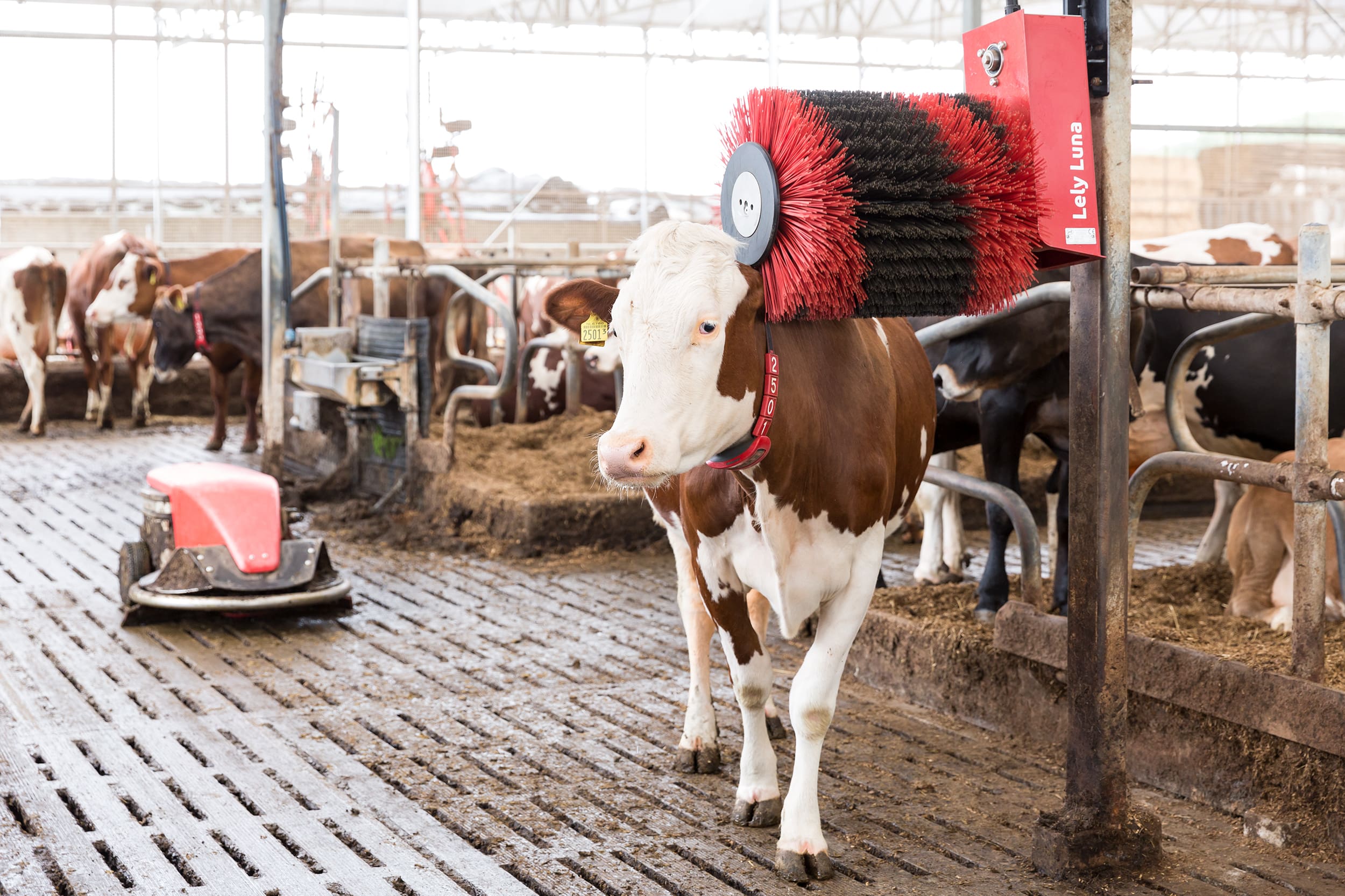 Lely Pre-owned