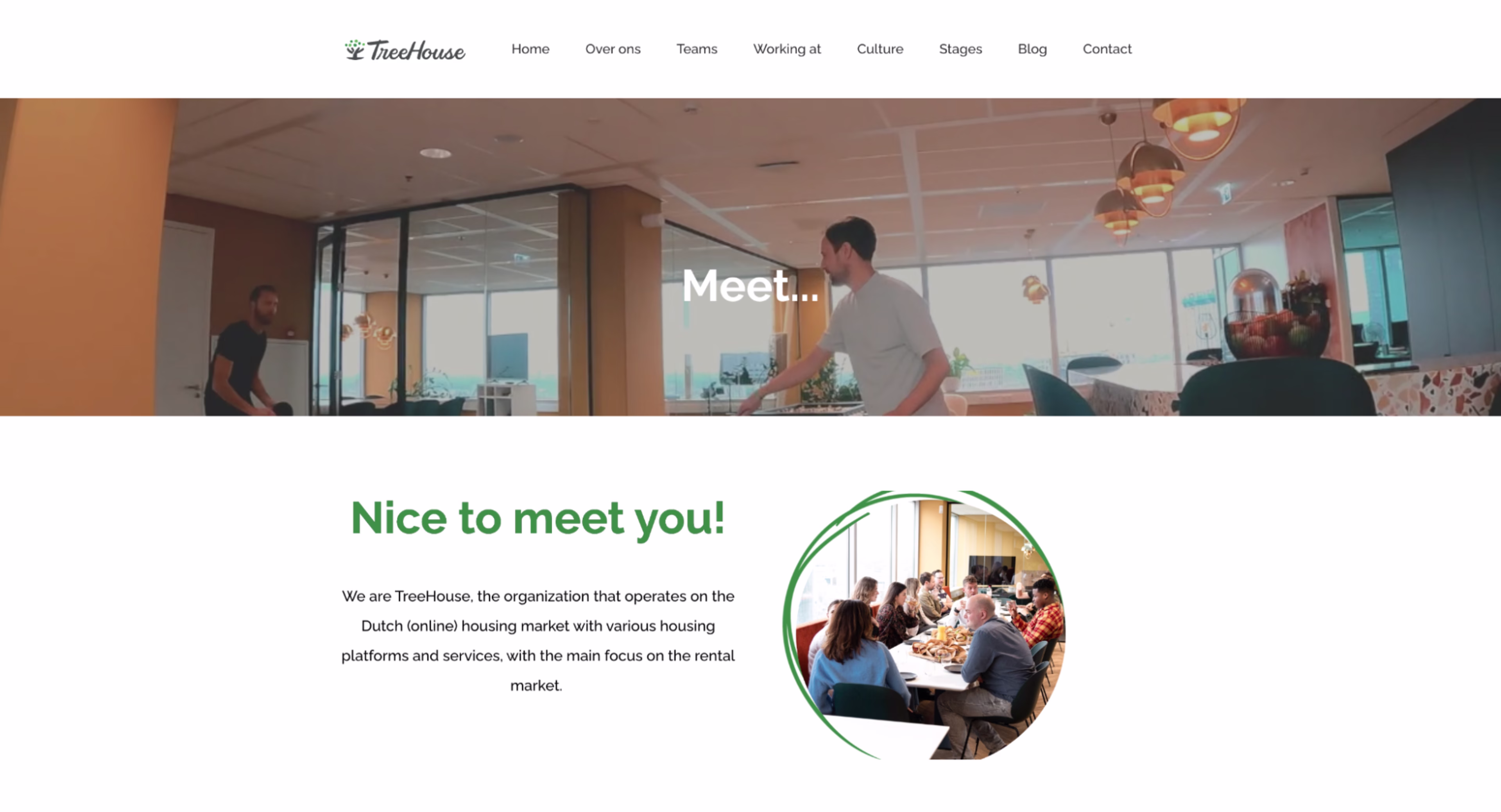 Visual - Customer story - Treehouse website