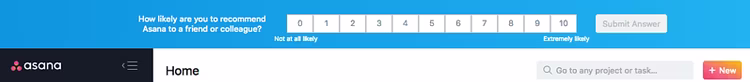 asana-nps.width-750