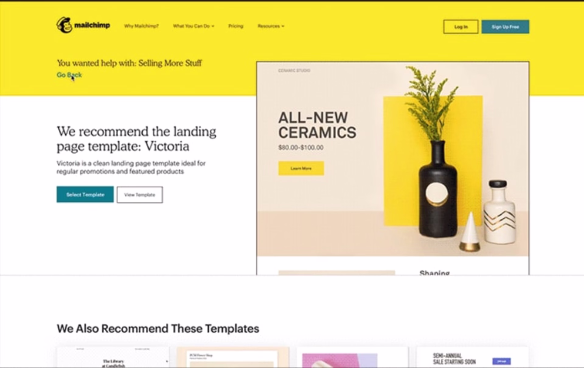 Mailchimp homepage with CTA and visuals