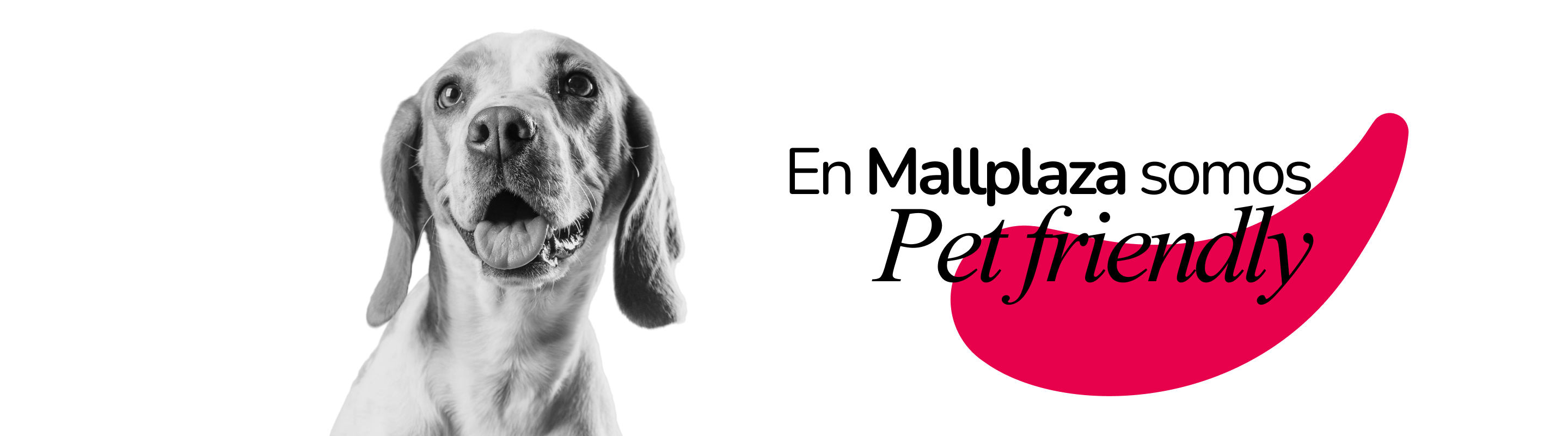 En Mallplaza somos Pet friendly 2026