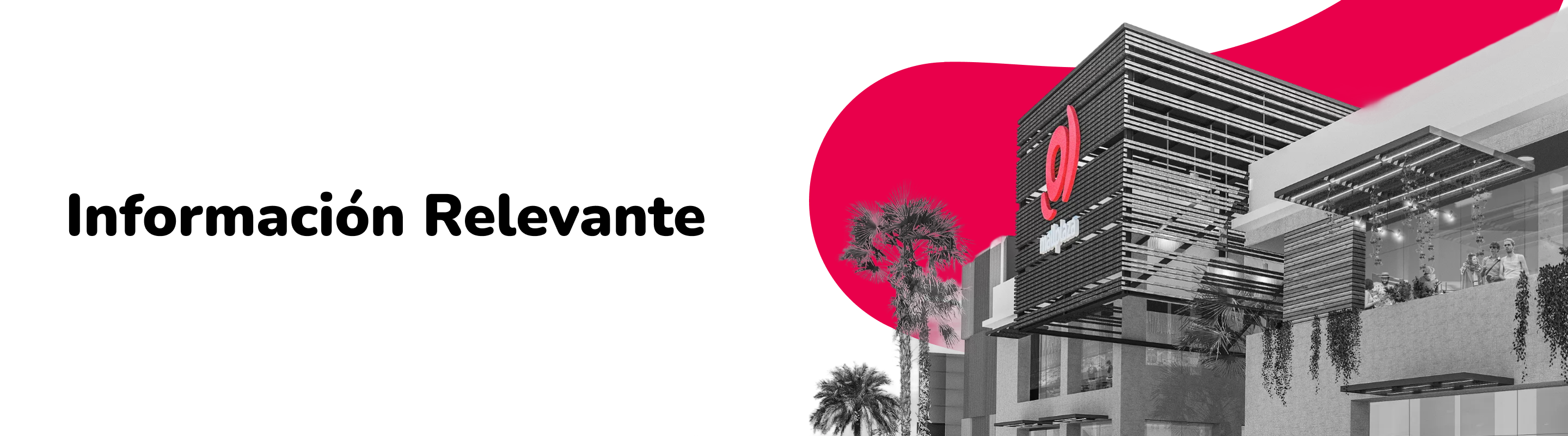 Información Relevante