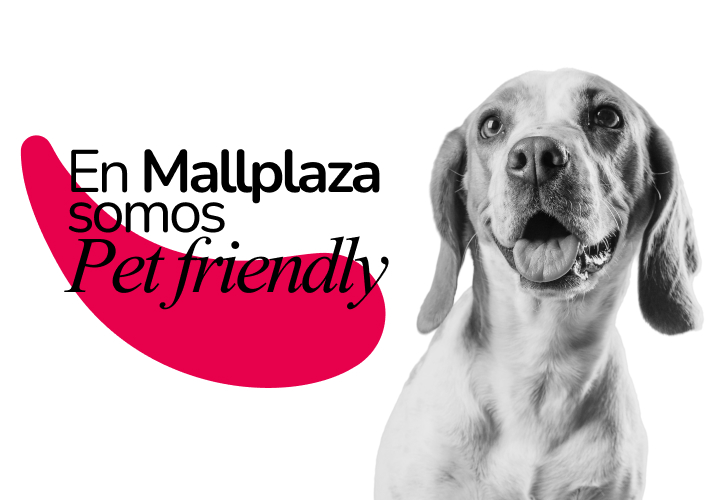 En Mallplaza somos Pet friendly 2026