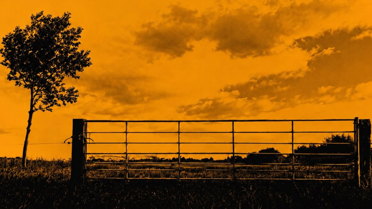 Hoesafbeelding bij de nieuwe single van Danny Vera en Sam Bettens, met een silhouet van een boom en een metalen hek tegen een warmoranje avondlucht.