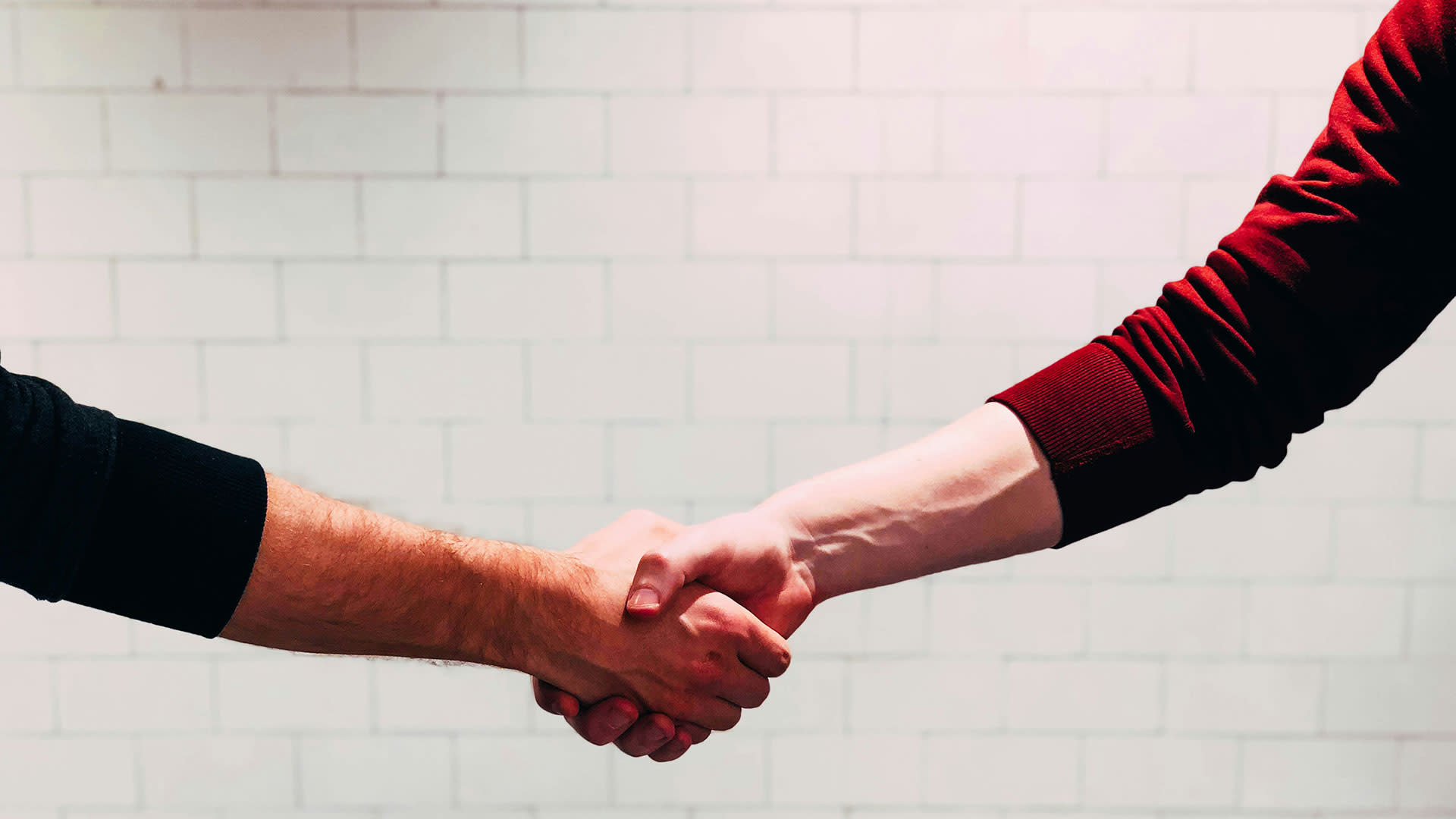 Two people shaking hands in front of a white tiled wall. The left arm wears a black sweater, the right arm a red sweater. Their hands are firmly clasped together.