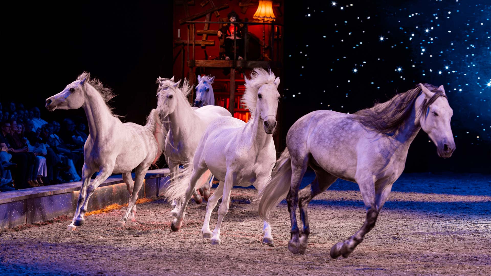 AFAS Dome becomes a riding arena for one weekend.