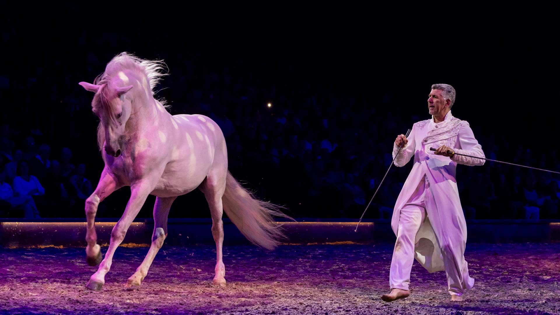AFAS Dome becomes a riding arena for one weekend.
