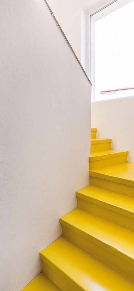 yellow-holding-mathys