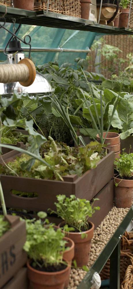 gardening-holding-future