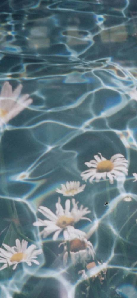 shape-of-water-holding-starrily