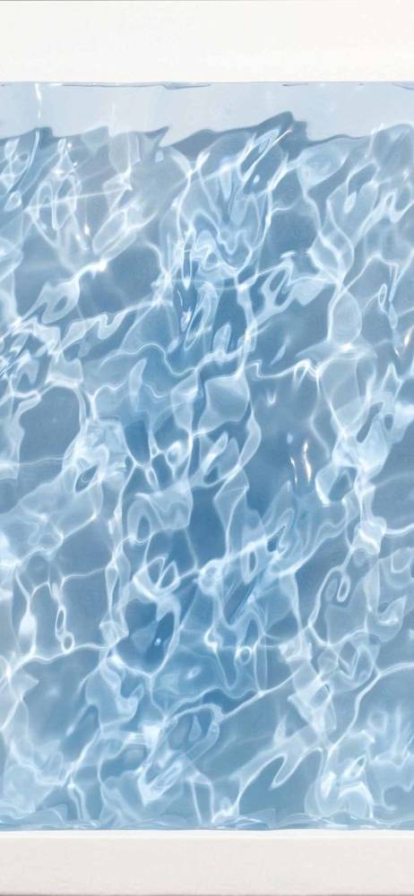 shape-of-water-holding-sophia-collier