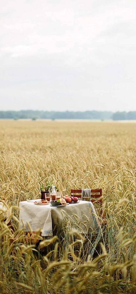 picnic-holding-marta-greber