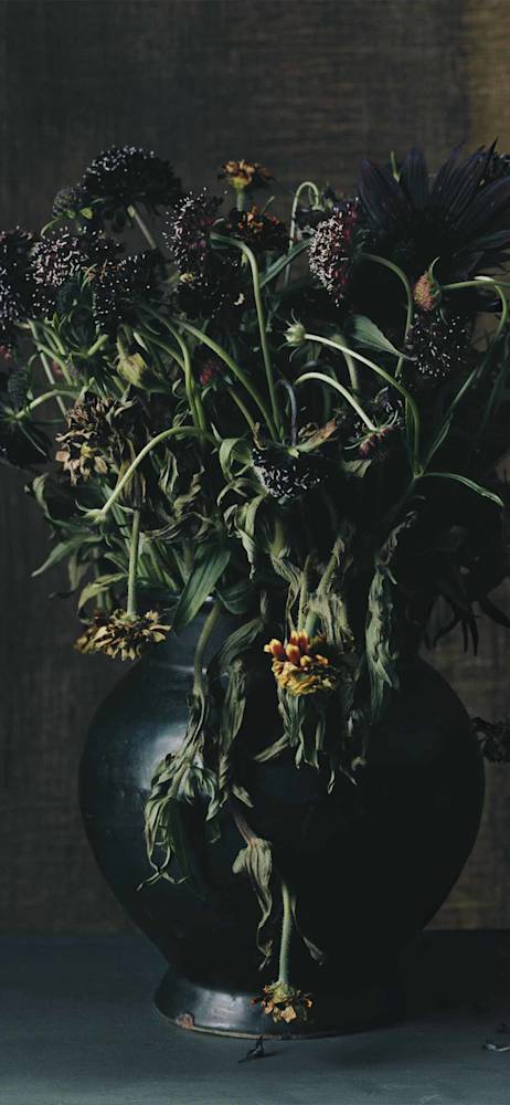 dark-floral-holding-sharon-core