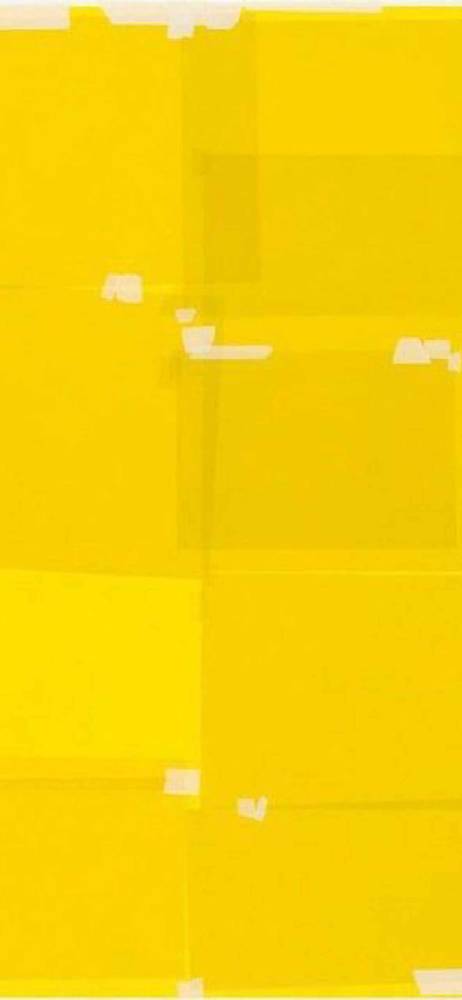 yellow-holding-kees-goudzwaard