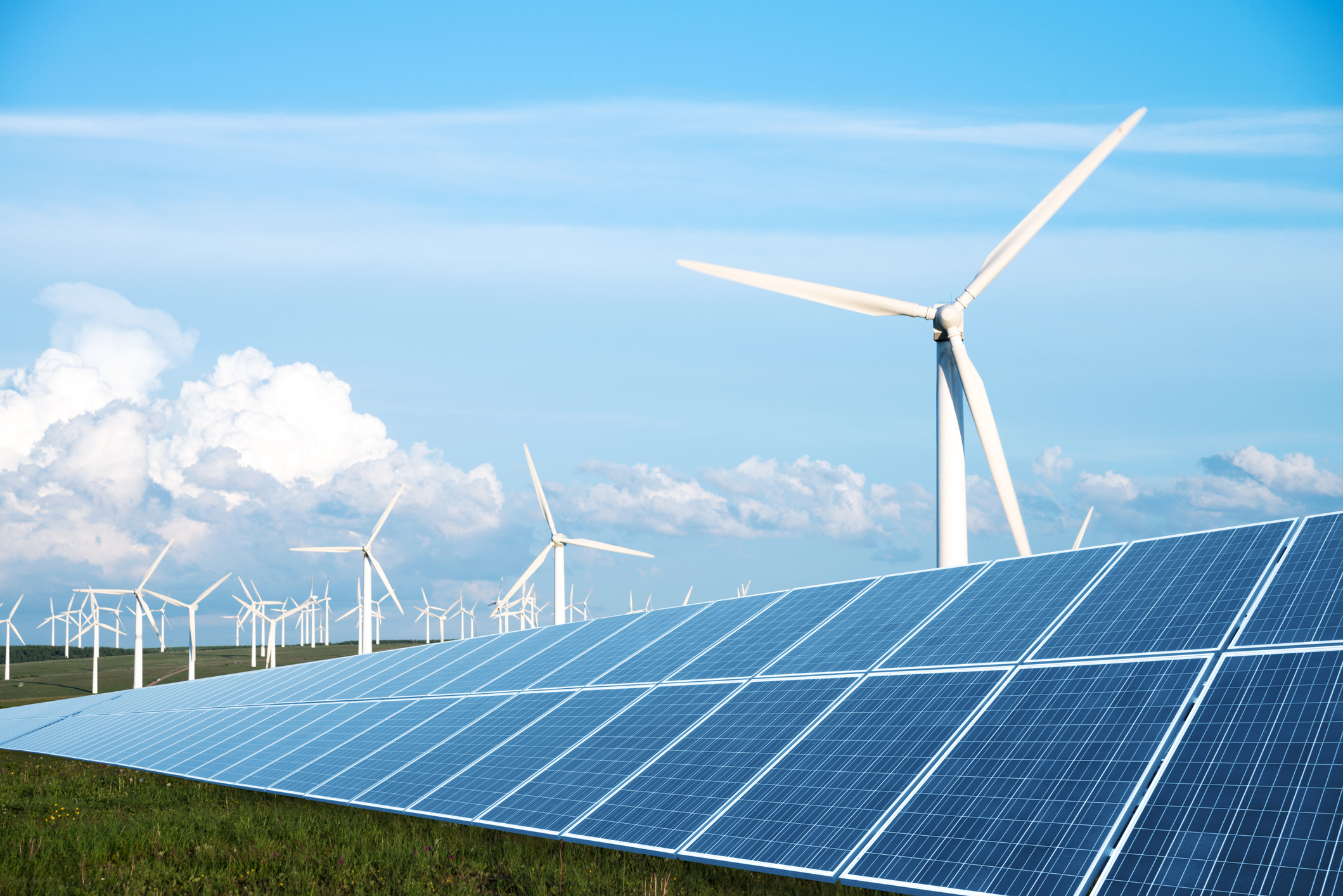 Wind turbines and solar panels.