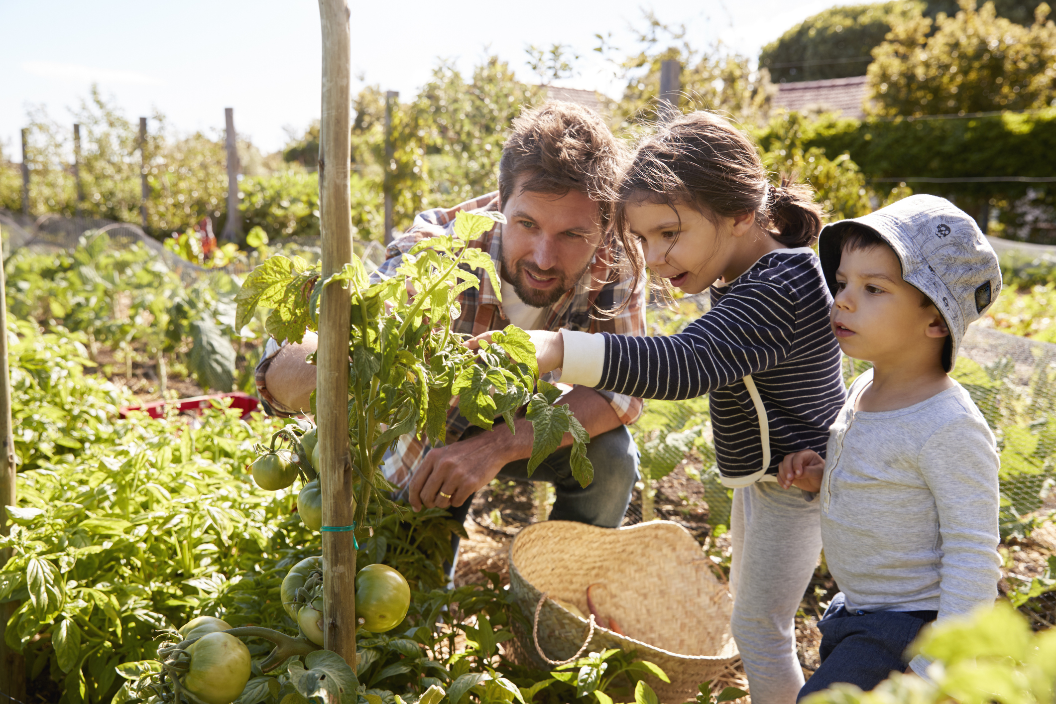 A man teaching kids about the environment and showing them plants.