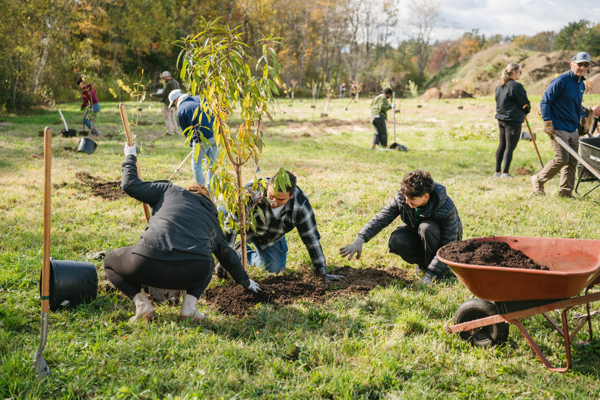 Volunteers planting trees with Arbor Day Foundation