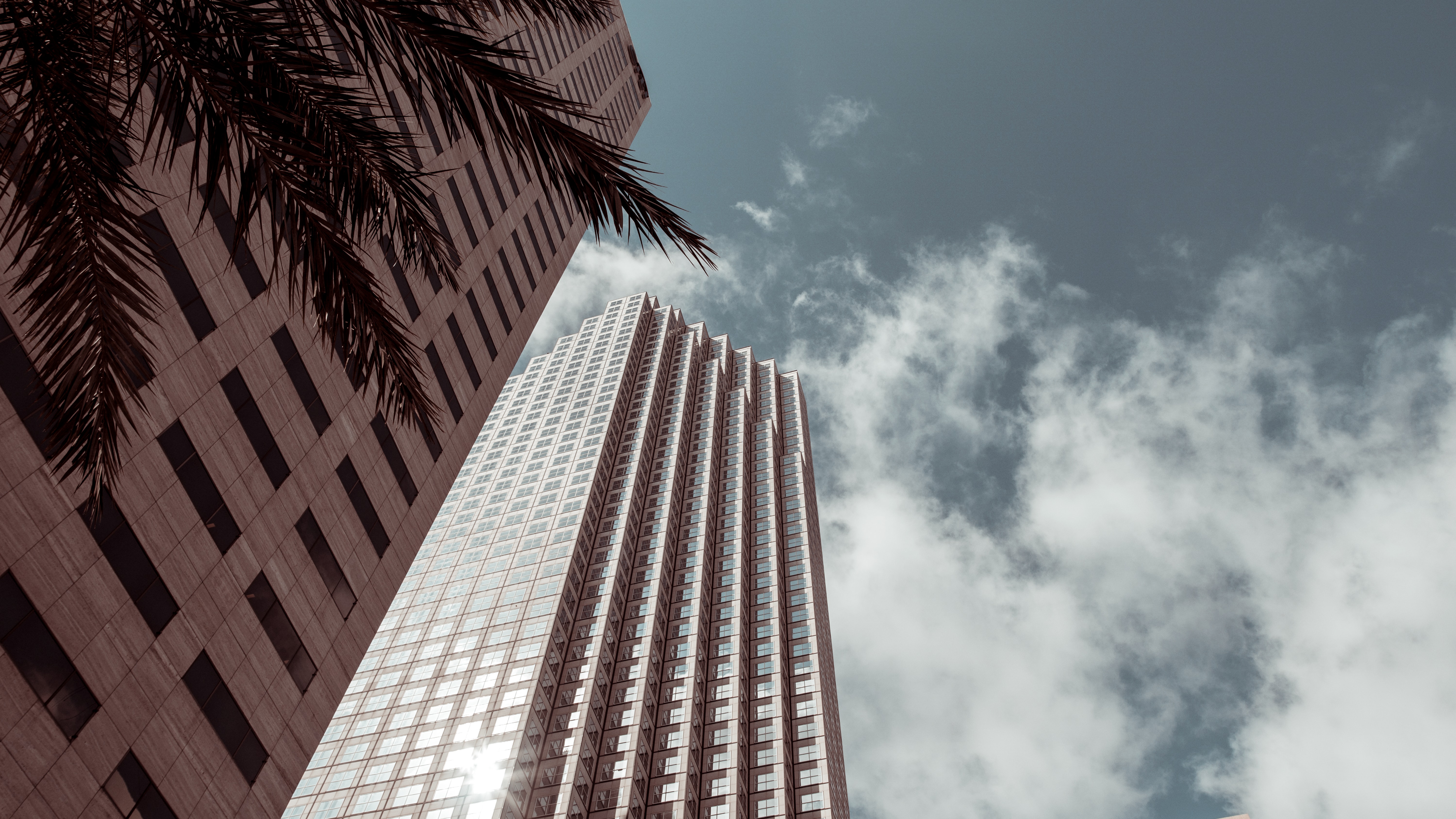 Venture Miami picture