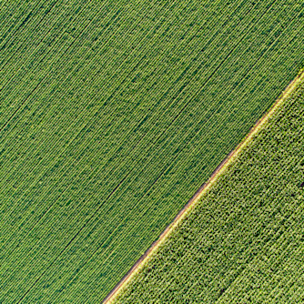 iStock platteland landbouw gewassen groen boer