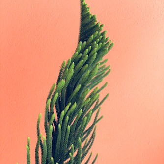Boom design
