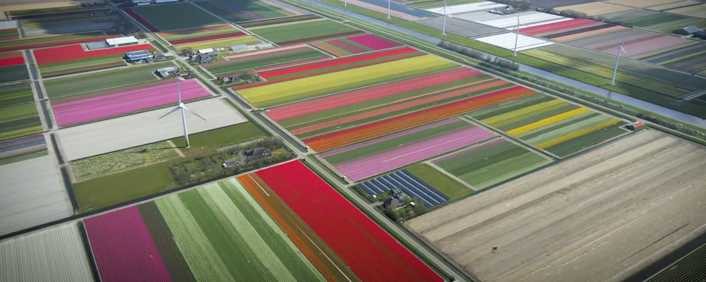 Landbouwtransitie video