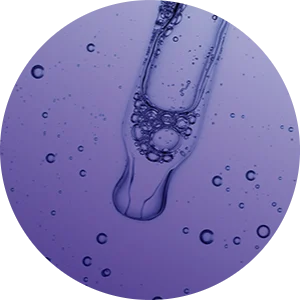 Ciencia del bienestar animal de P&G