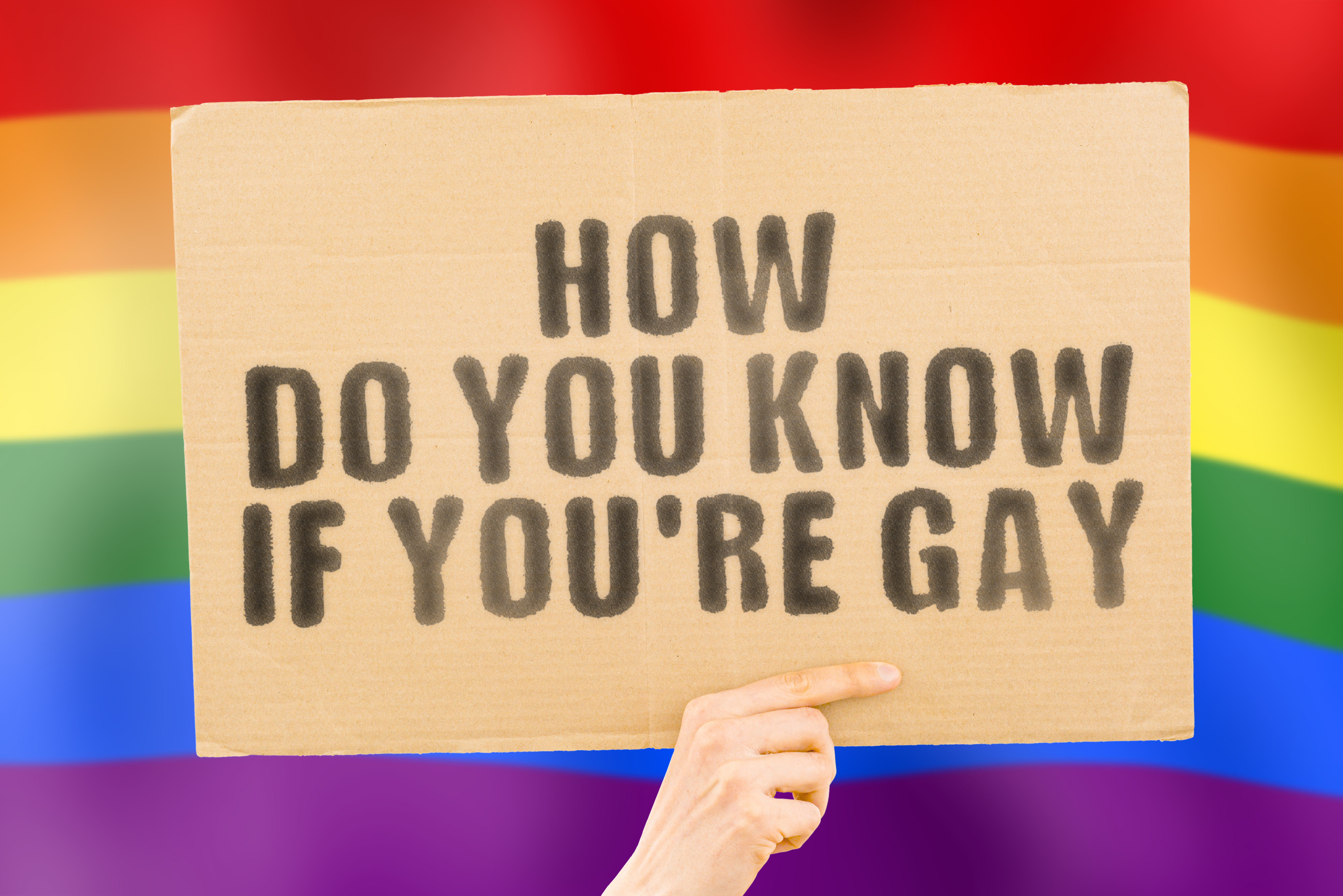 Hand holding up cardboard sign that says, "HOW DO YOU KNOW IF YOU'RE GAY" in front of a rainbow flag