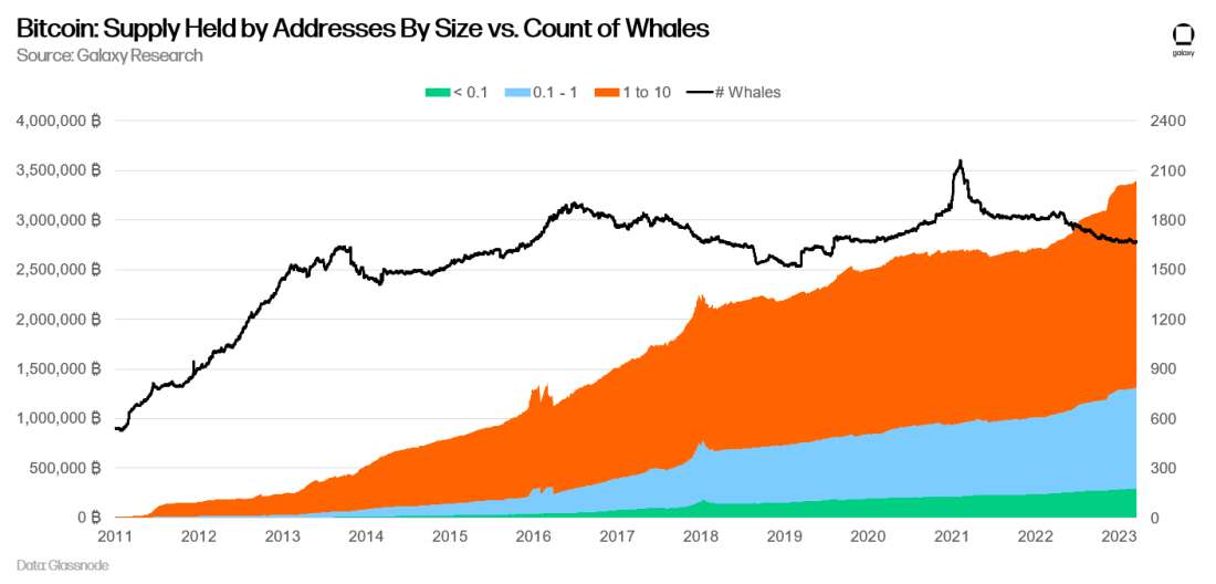 Bitcoin: Supply Held by Addresses By Size vs. Count of Whales - chart