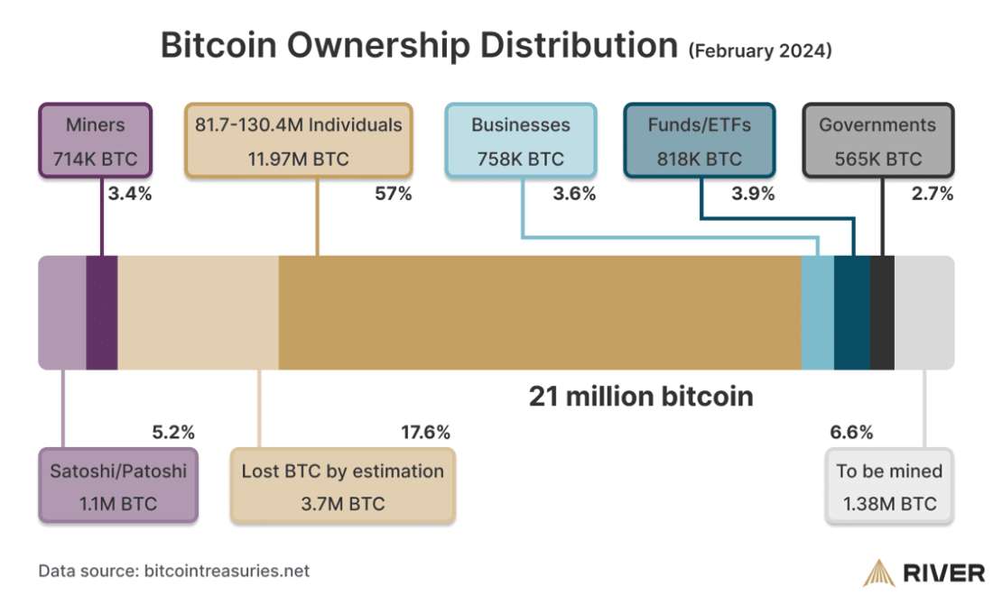 Bitcoin Ownership Distribution Diagram