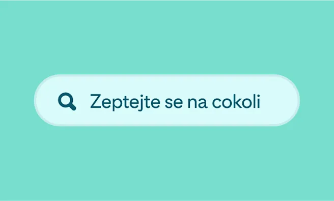 A green search box with the words “Ask us anything”