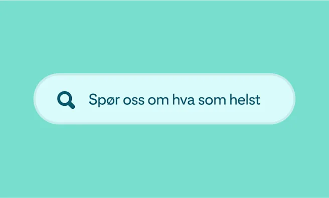 A green search box with the words “Ask us anything”