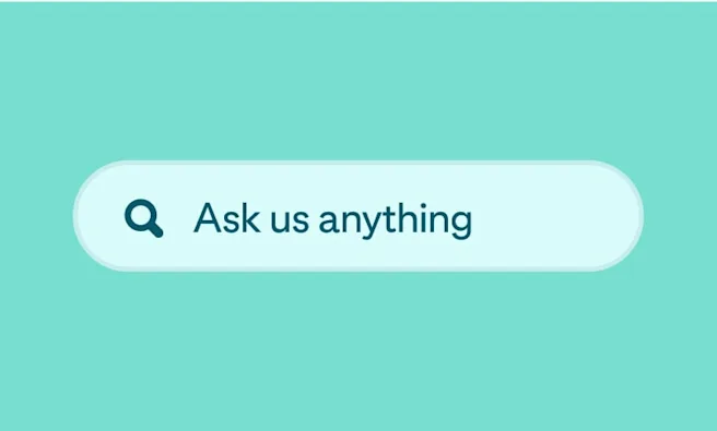 A green search box with the words “Ask us anything”