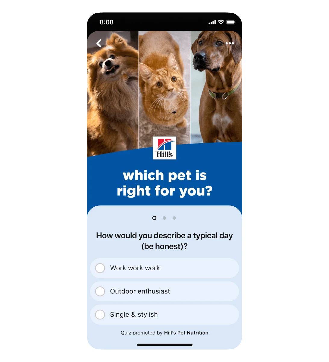 Giao diện trên di động của quảng cáo đố vui từ Pinterest cho Hill's Pet Nutrition. Câu hỏi đố vui đầu tiên là “how would you describe a typical day (be honest)?” Ba phương án trả lời gồm: “work work work”, “outdoor enthusiast” và “single & stylish”.