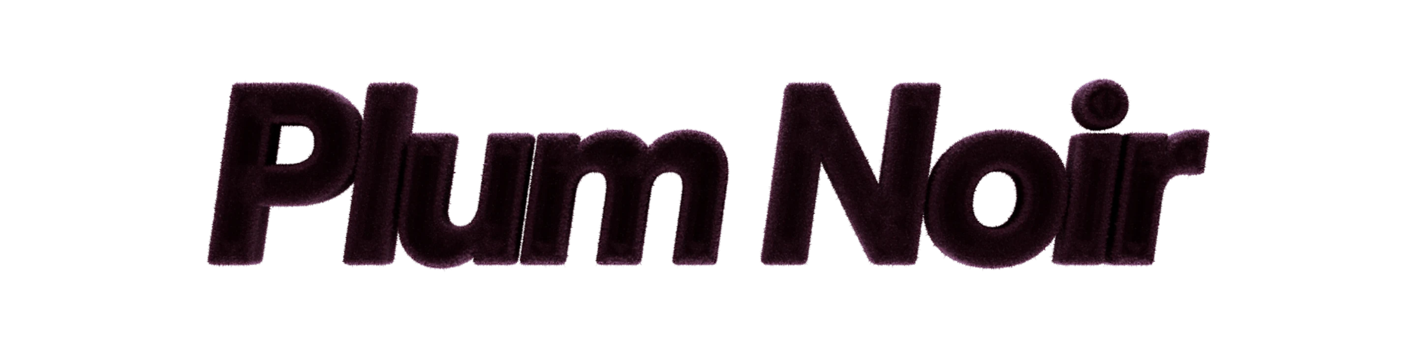 The words “Plum Noir” in a bold and dark purple font.