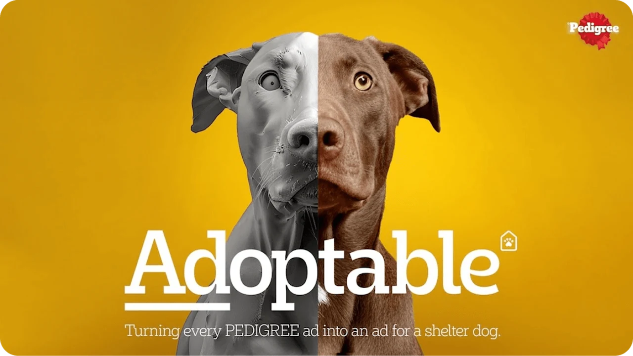 A Pedigree ad shows a dog up for adoption, set on a yellow background.
