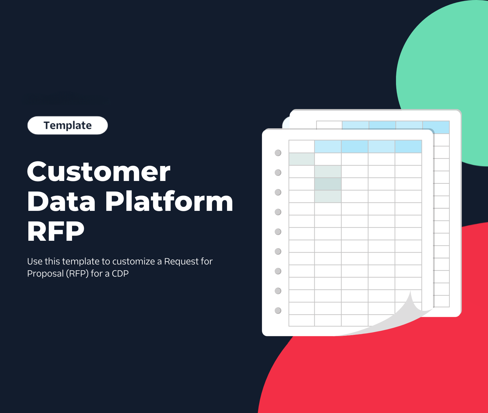 Download asset image for Customer Data Platform RFP Template